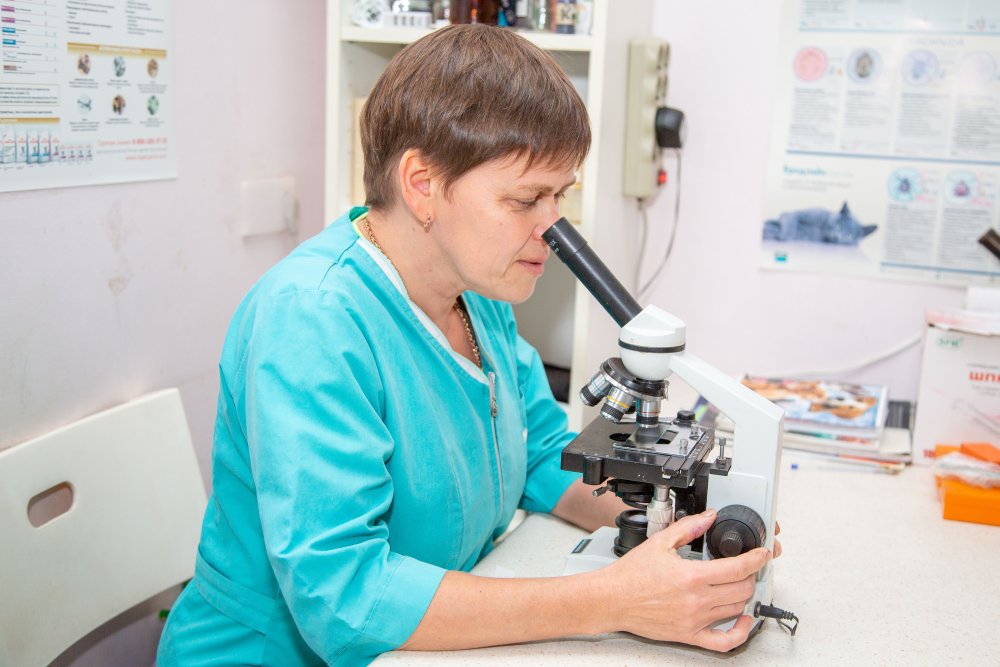 Клиническая диагностика